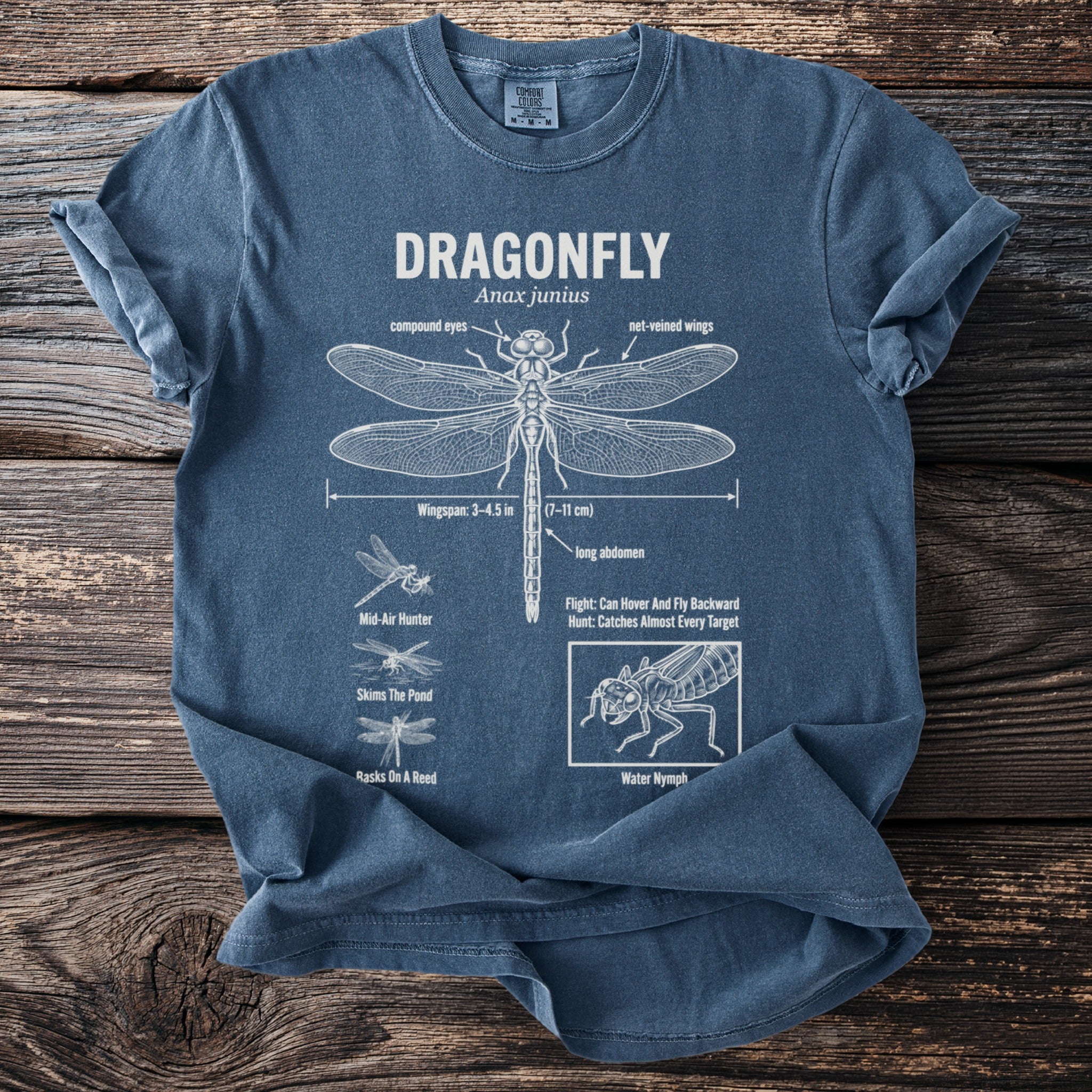 Blue t-shirt with dragonfly anatomical diagram, scientific names, and flight details.