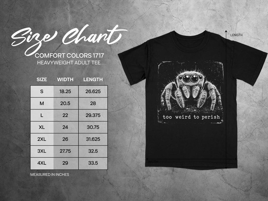 Size chart for Comfort Colors 1717 heavyweight adult tee with spider graphic.