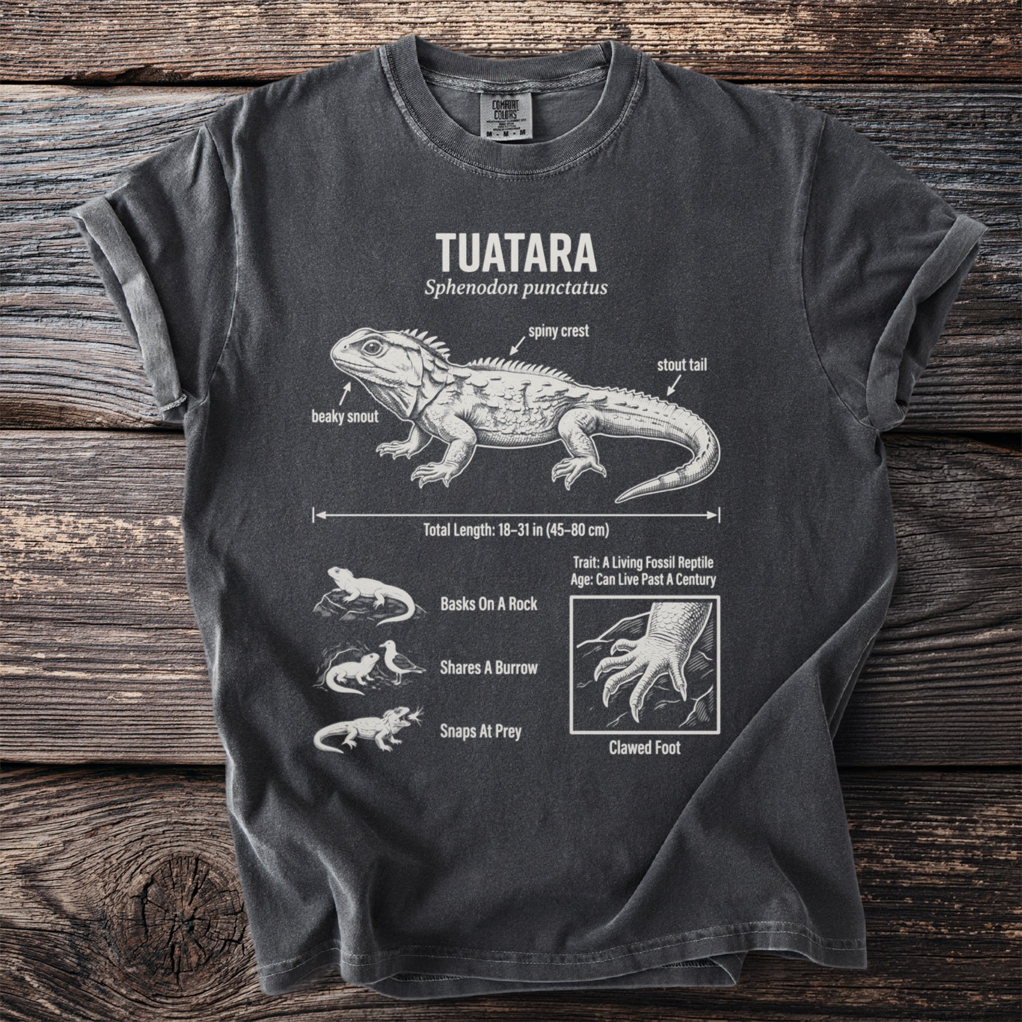 Dark grey t-shirt with diagram of a tuatara with labels: beaky snout, spiny crest, stout tail.