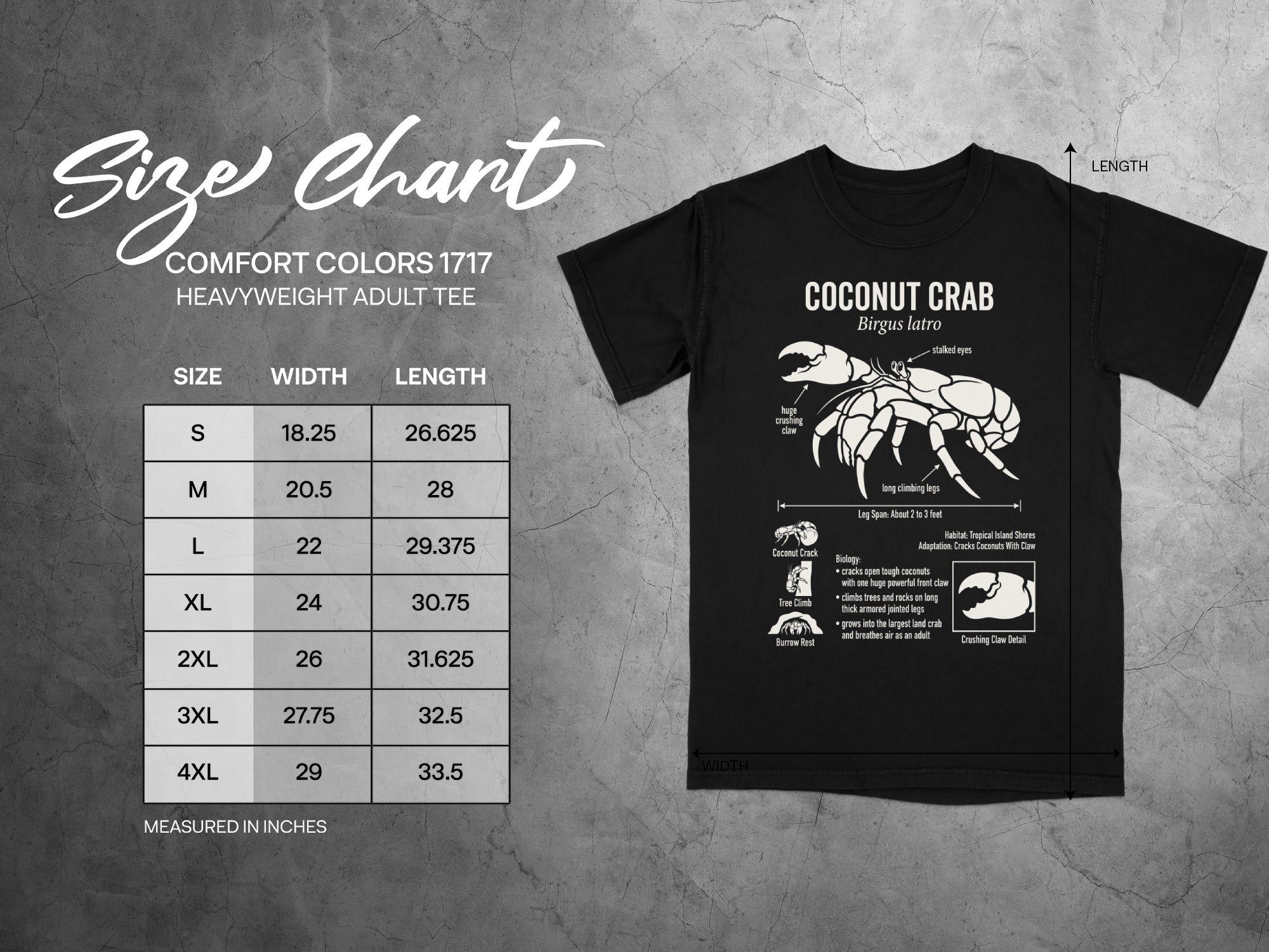 Comfort Colors 1717 t-shirt size chart with coconut crab graphic.