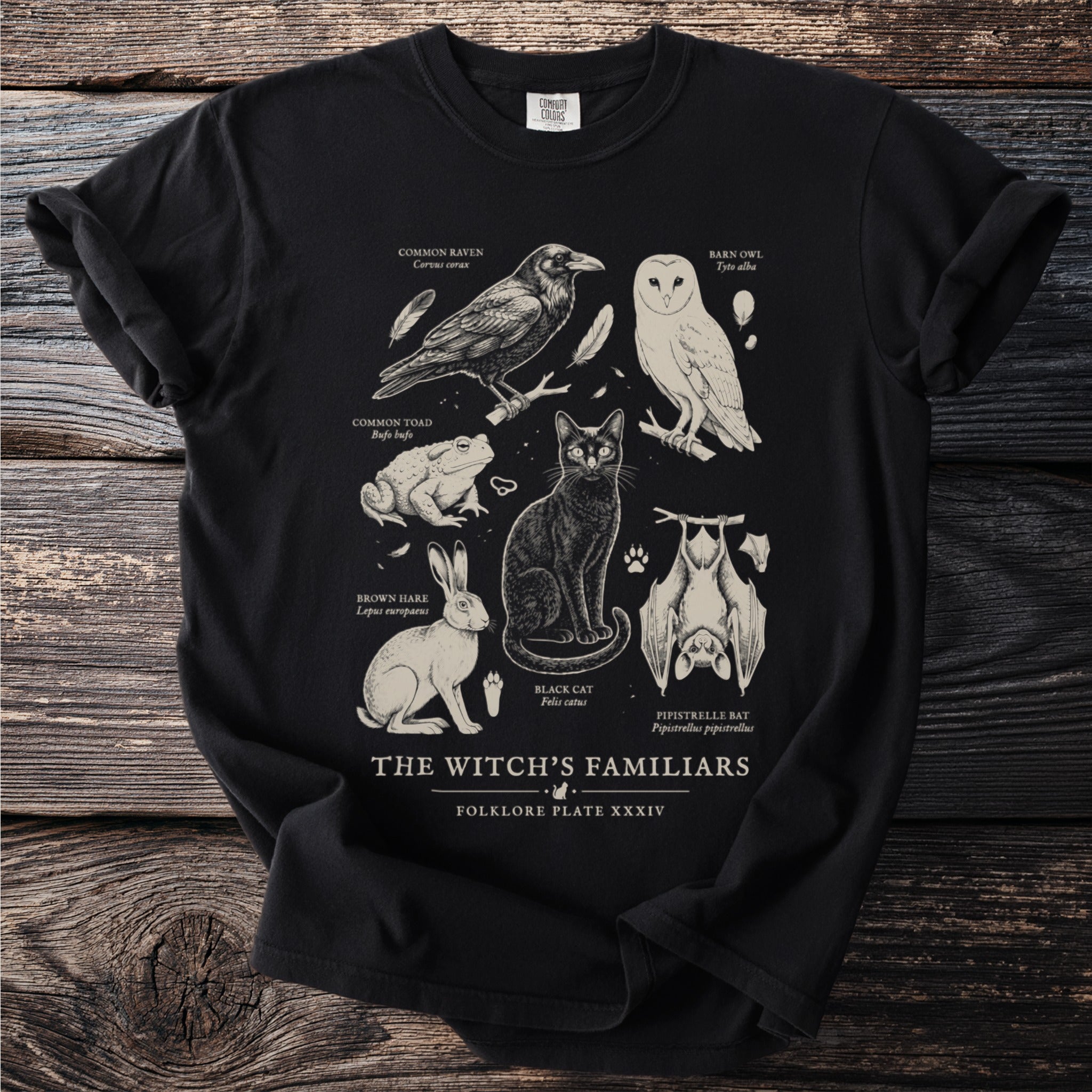 Black t-shirt featuring "The Witch's Familiars" with illustrations of a raven, owl, toad, hare, cat, and bat.