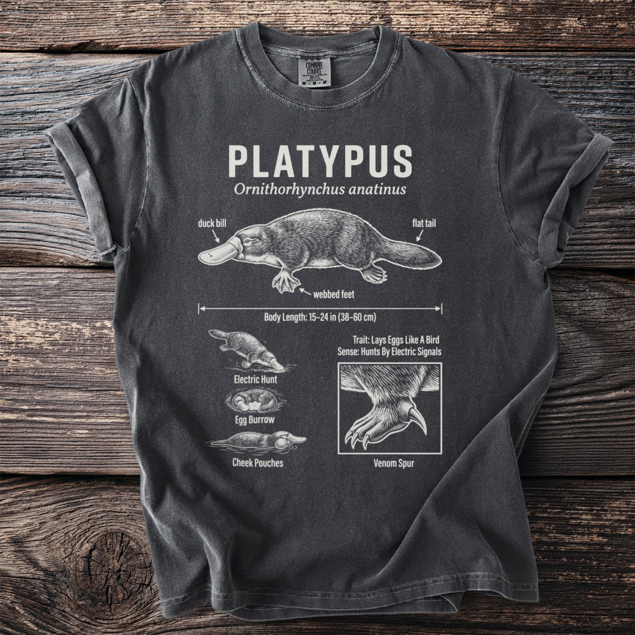 Gray t-shirt with a platypus anatomical illustration and text details.