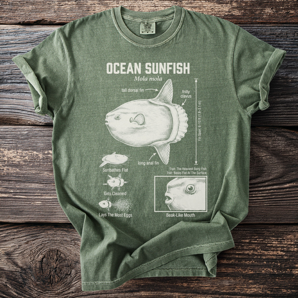 Green t-shirt with illustration and facts about the Ocean Sunfish (Mola mola).