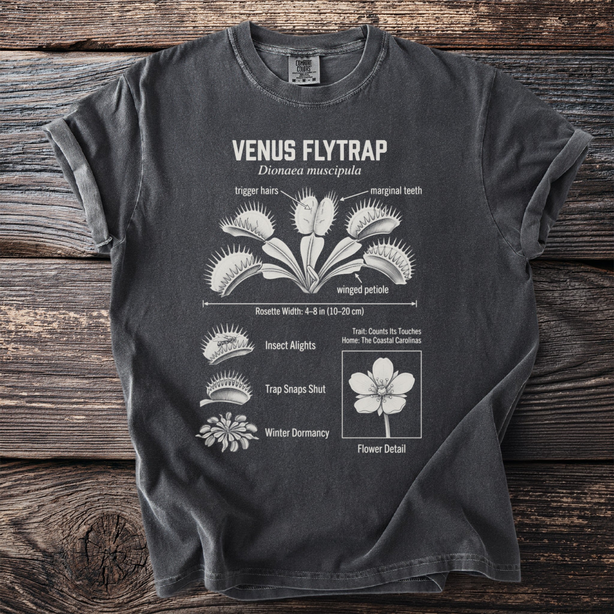 Dark t-shirt with white Venus Flytrap diagram showing anatomy, life cycle, and flower.