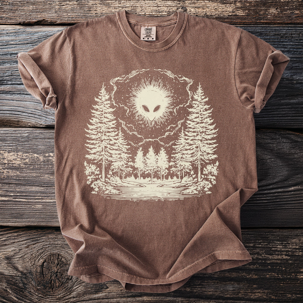 The Beacon: Grey Above the Pines