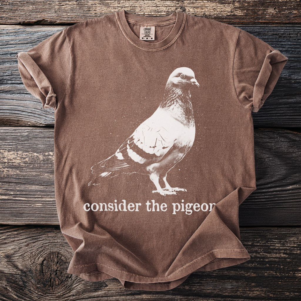 Brown t-shirt with a white pigeon graphic and text "consider the pigeon".
