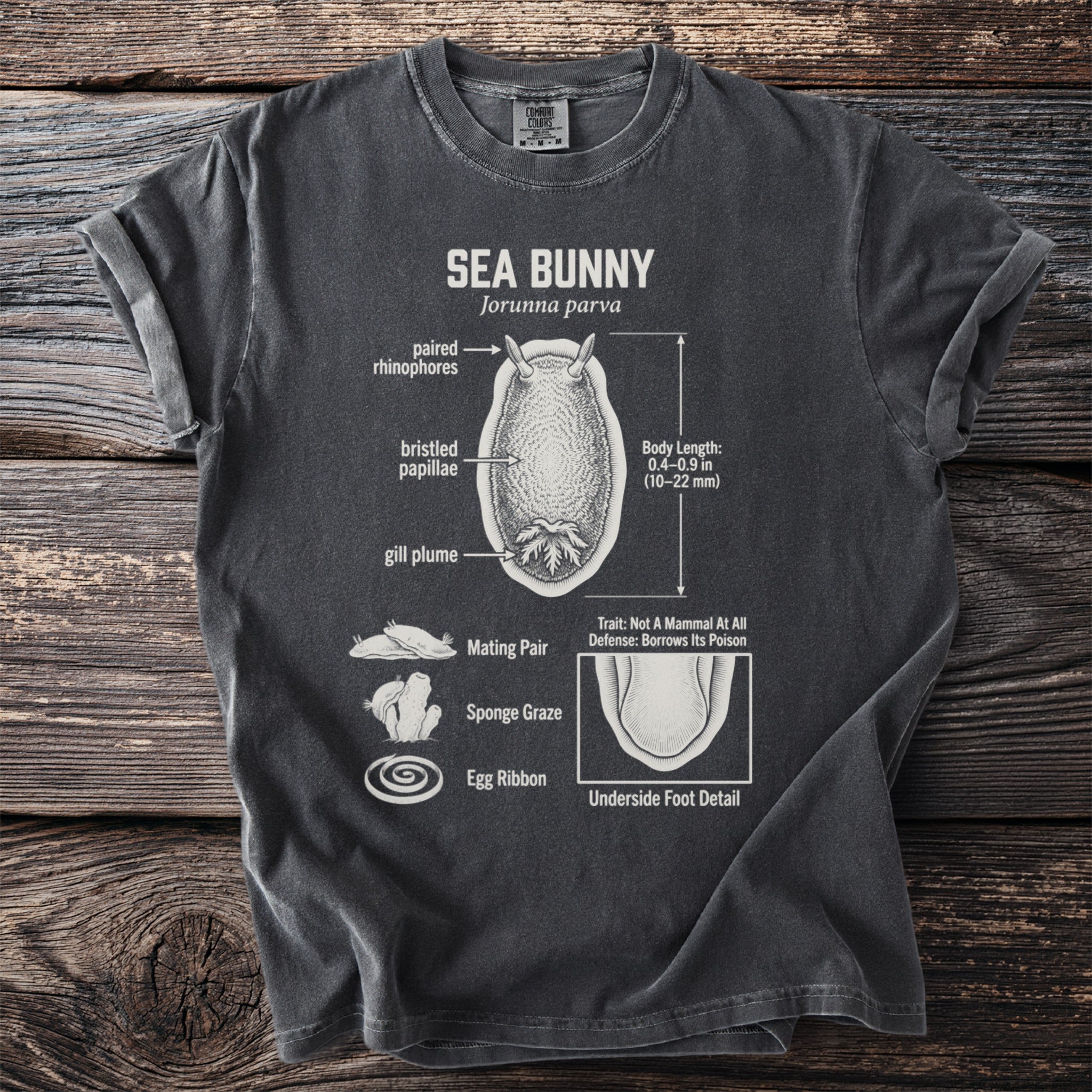 T-shirt with diagram of Sea Bunny (Jorunna parva) labeled with body parts and traits.