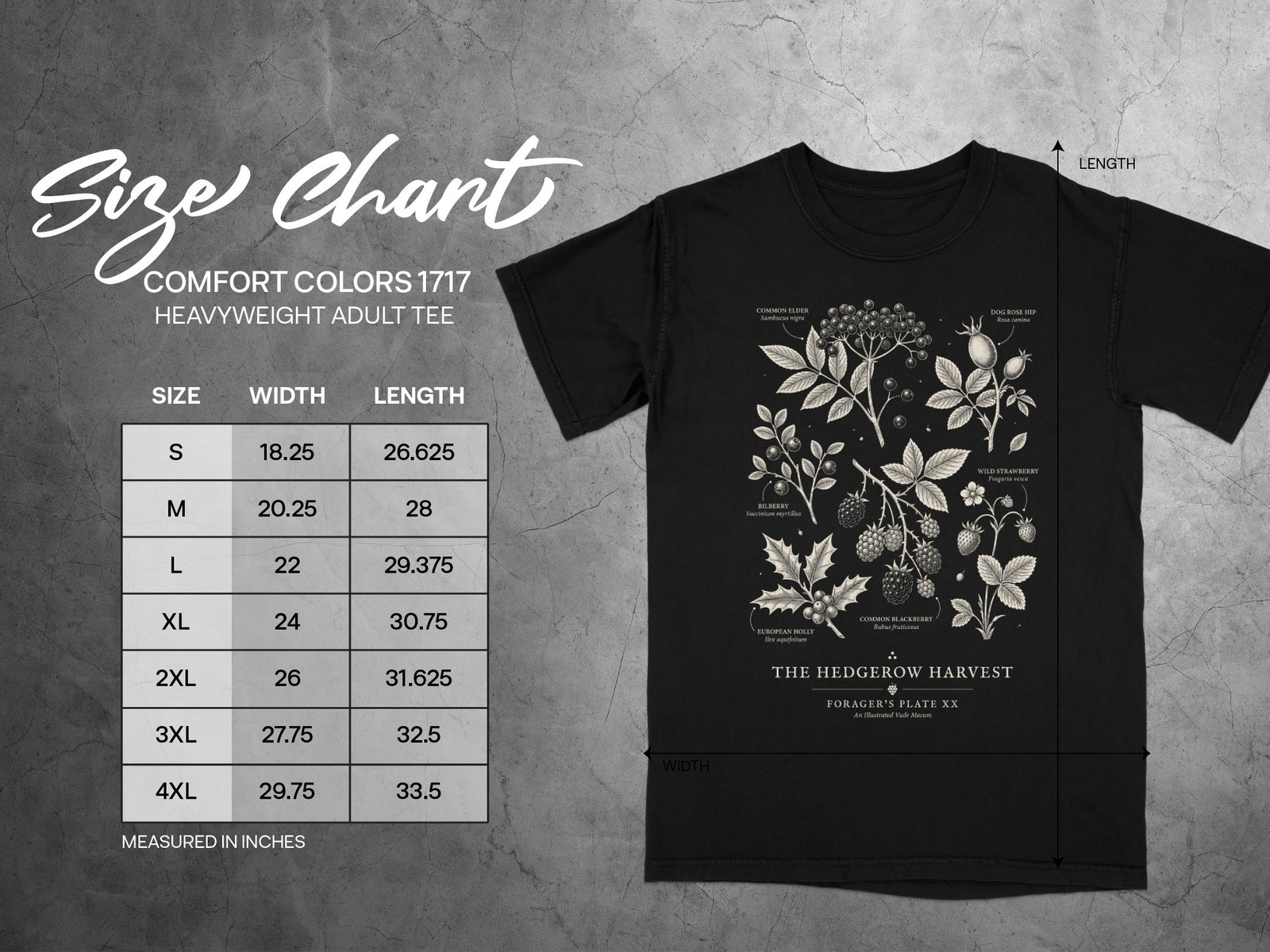 Comfort Colors 1717 adult tee size chart with botanical illustration.