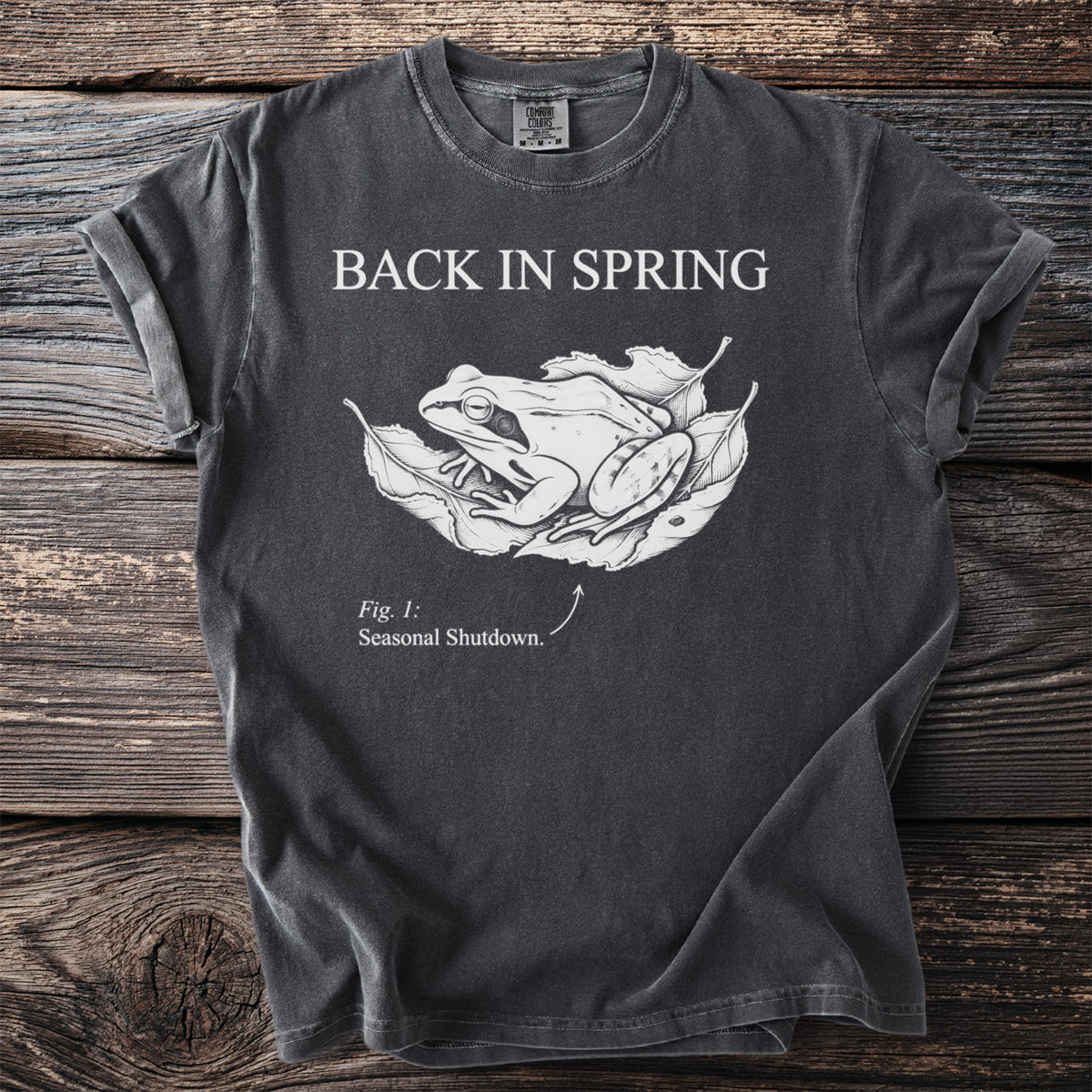 Dark grey t-shirt with "BACK IN SPRING" and a frog on leaves illustration.