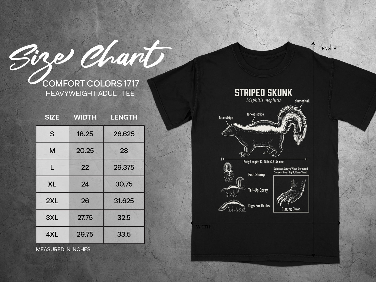 Comfort Colors 1717 heavyweight adult tee size chart with striped skunk illustration.