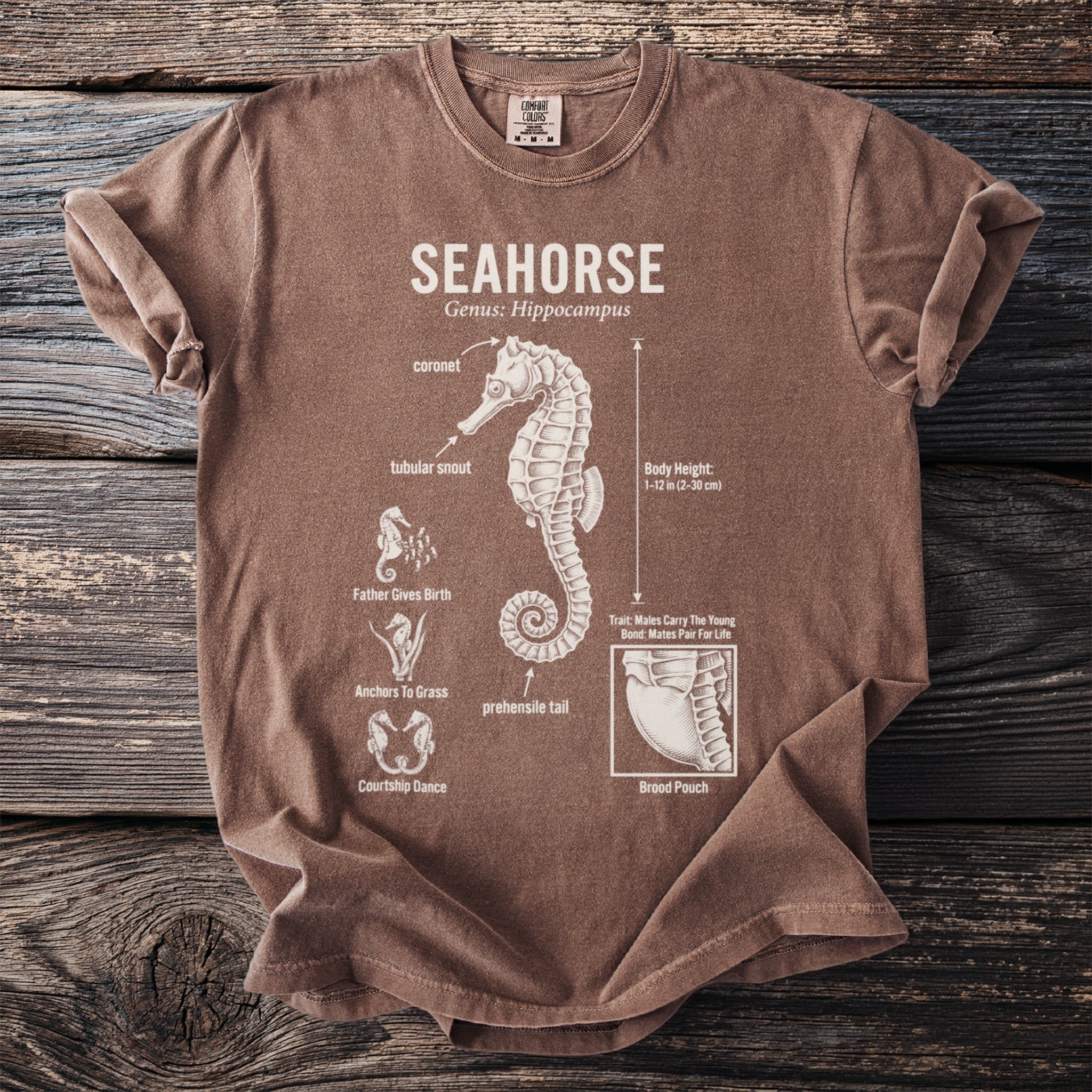 Brown t-shirt with diagram and facts about seahorses, labeled "SEAHORSE".
