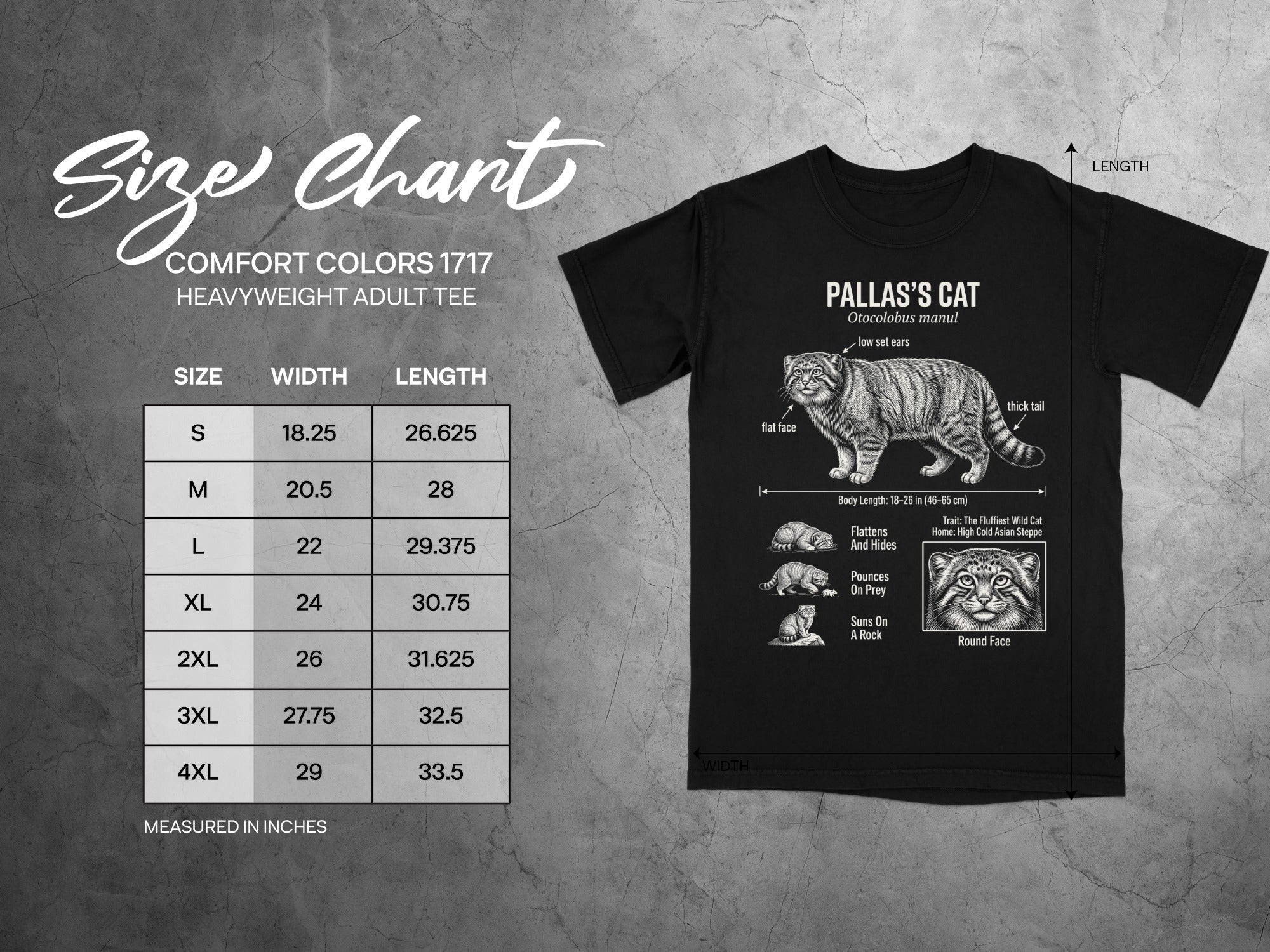 Comfort Colors 1717 garment size chart in inches.
