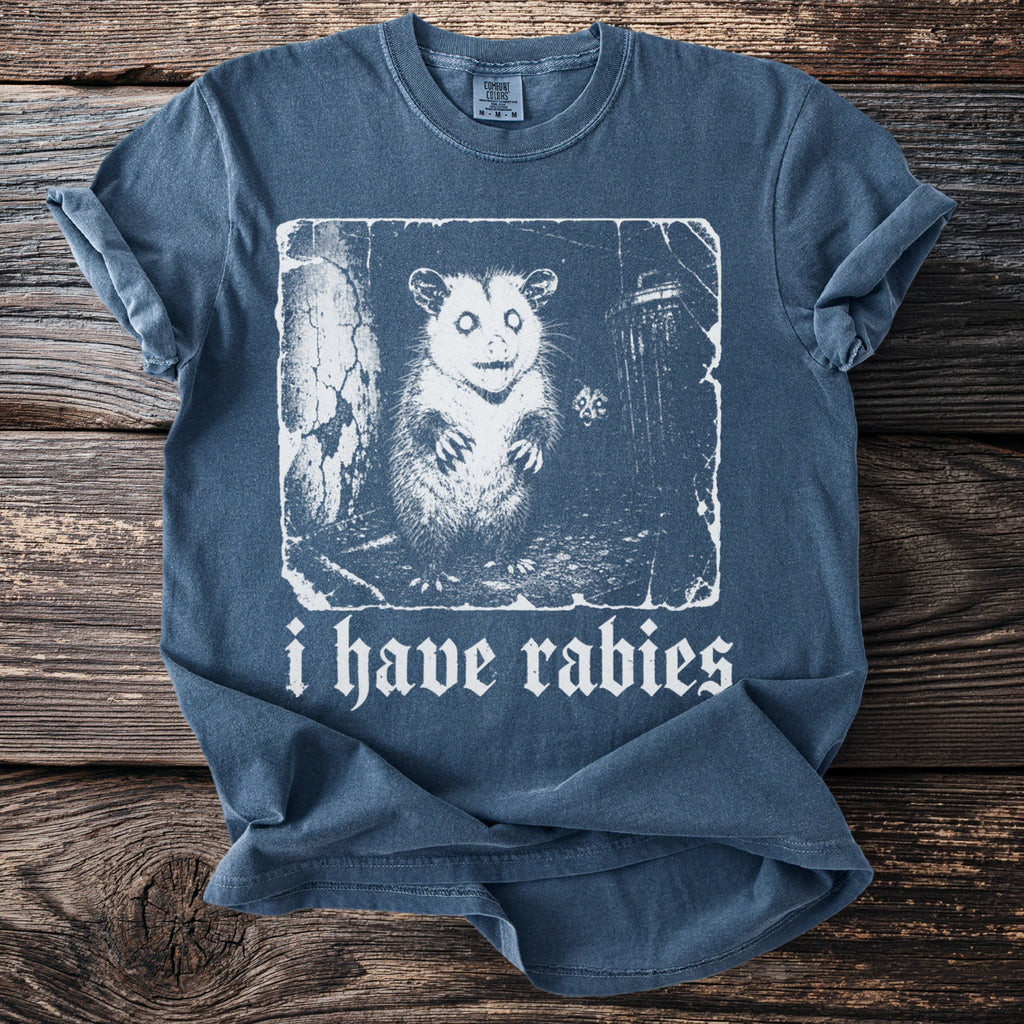 Blue t-shirt with a white graphic of an opossum and the text "i have rabies".