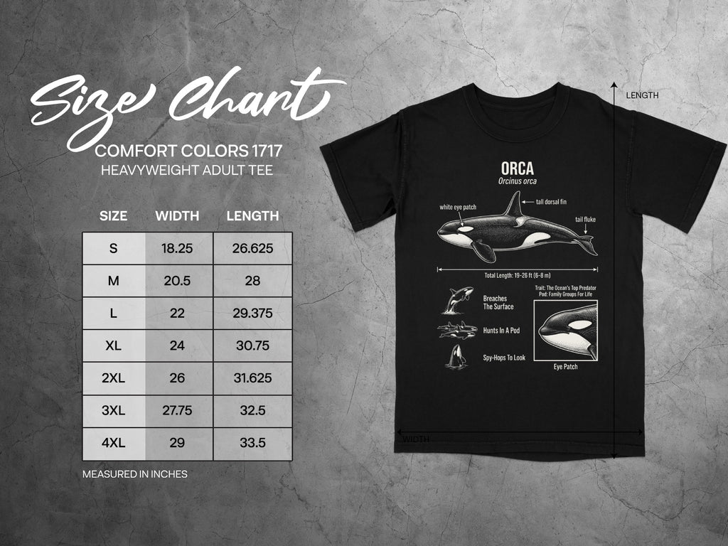 Comfort Colors 1717 garment size chart in inches.