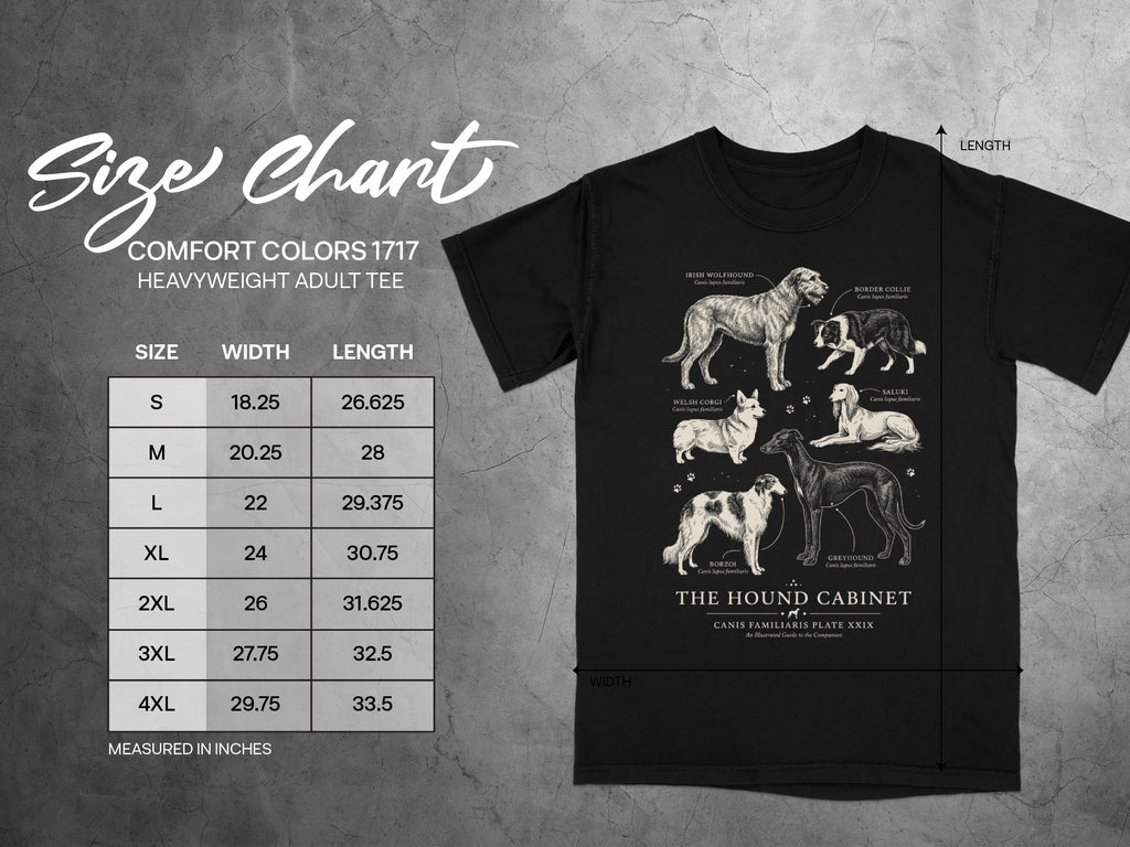 Comfort Colors 1717 t-shirt size chart with dog illustrations and measurements.