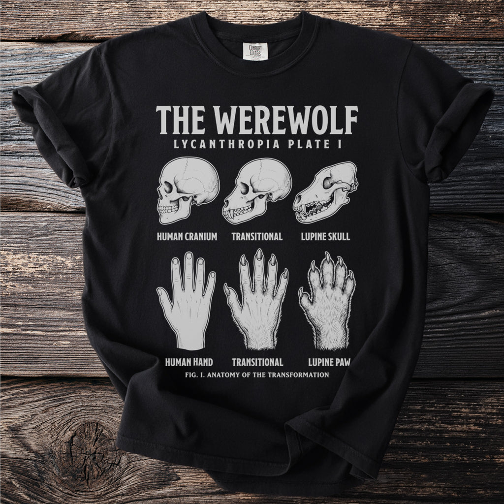 Black t-shirt featuring werewolf anatomy diagrams: human, transitional, and lupine skulls and paws.