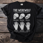 Black t-shirt featuring werewolf anatomy diagrams: human, transitional, and lupine skulls and paws.