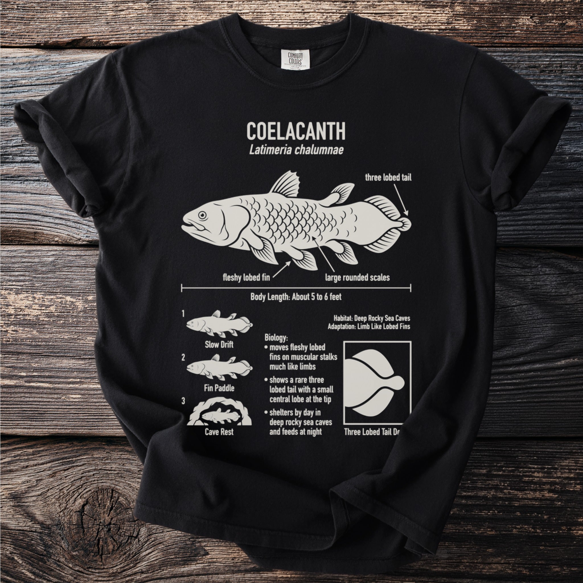 Coelacanth diagram with labels for fins, scales, tail, and biology.