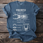 Blue t-shirt with stag beetle anatomy diagram, size M.