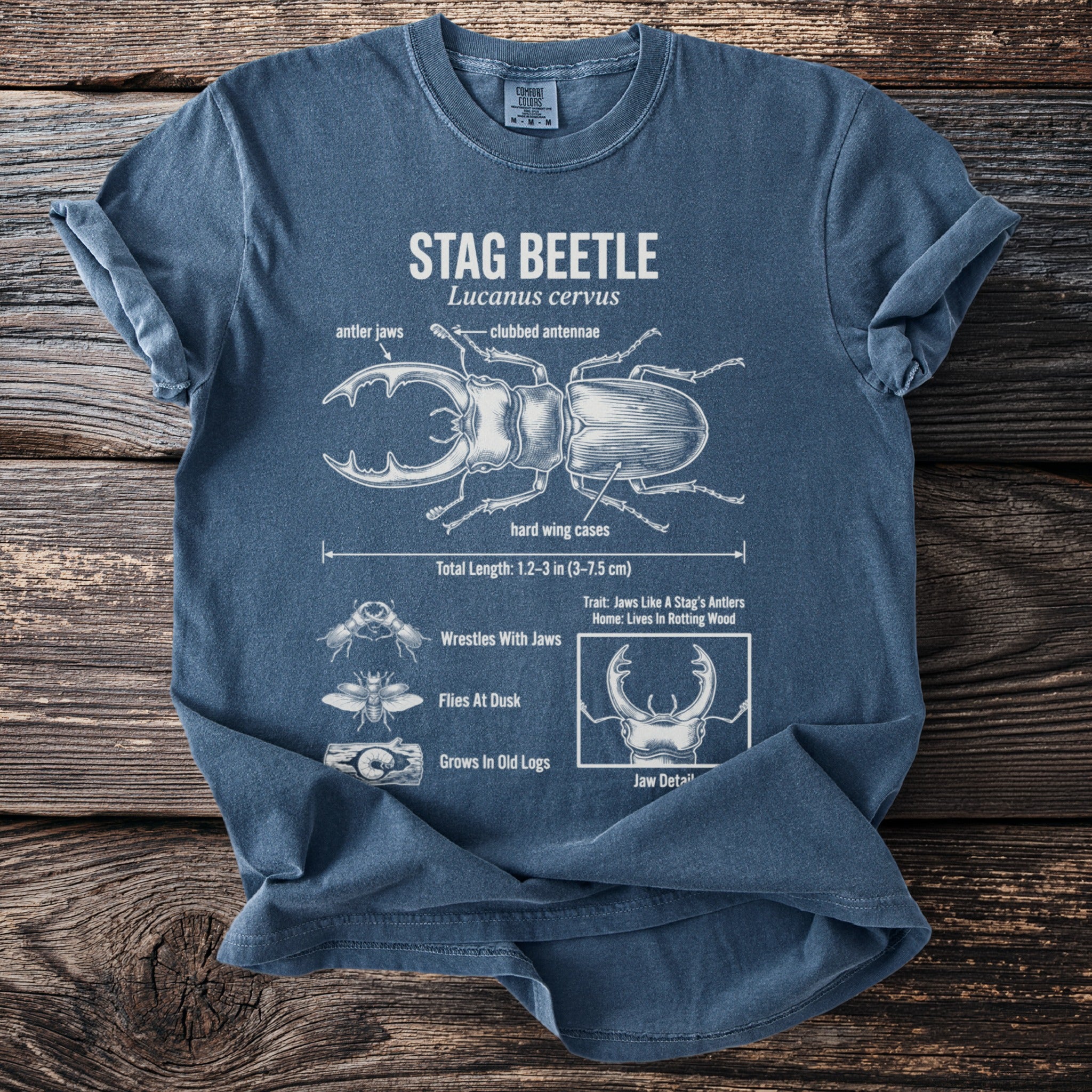 Blue t-shirt with stag beetle anatomy diagram, size M.