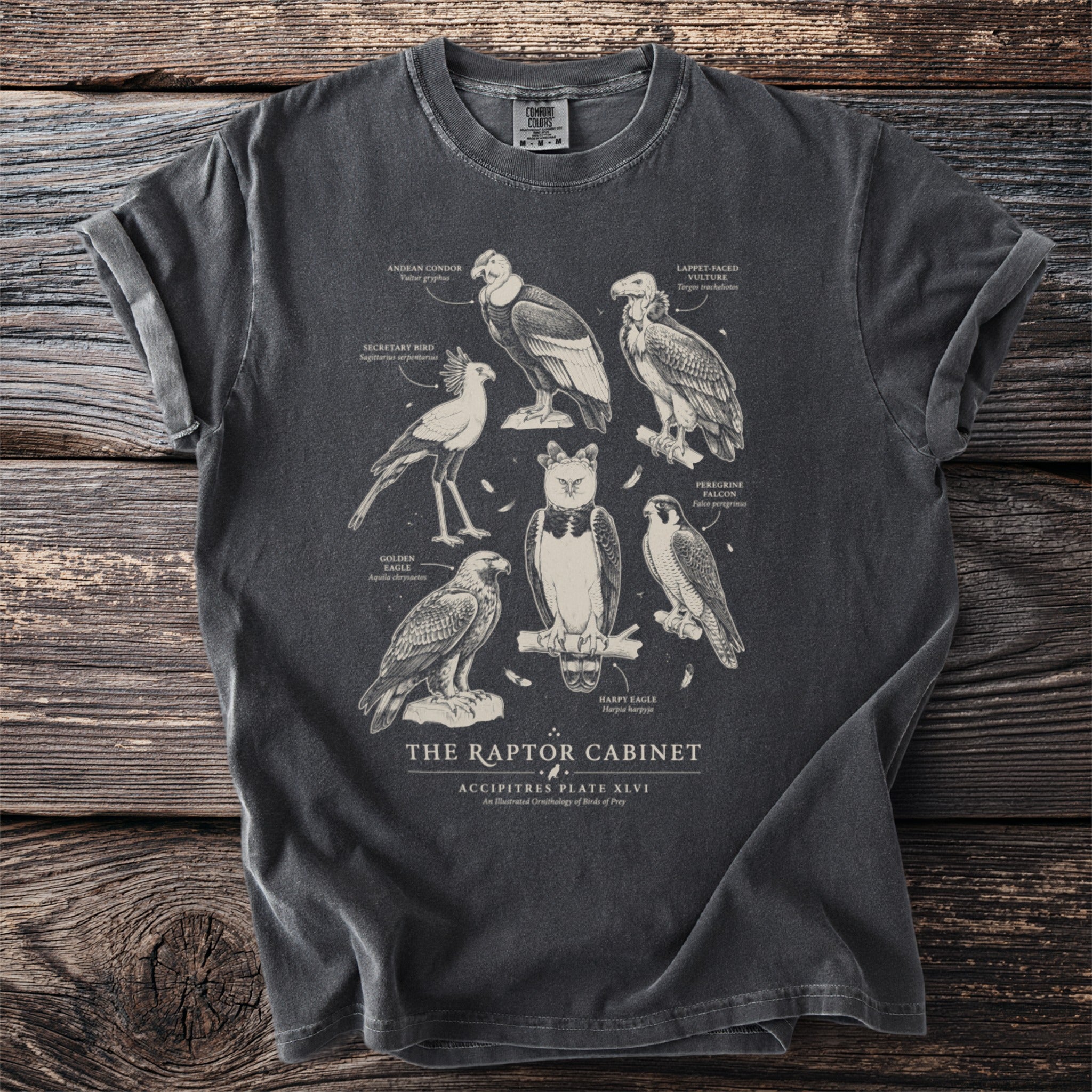 T-shirt with scientific illustrations of raptors including condors, eagles, falcons, and vultures.