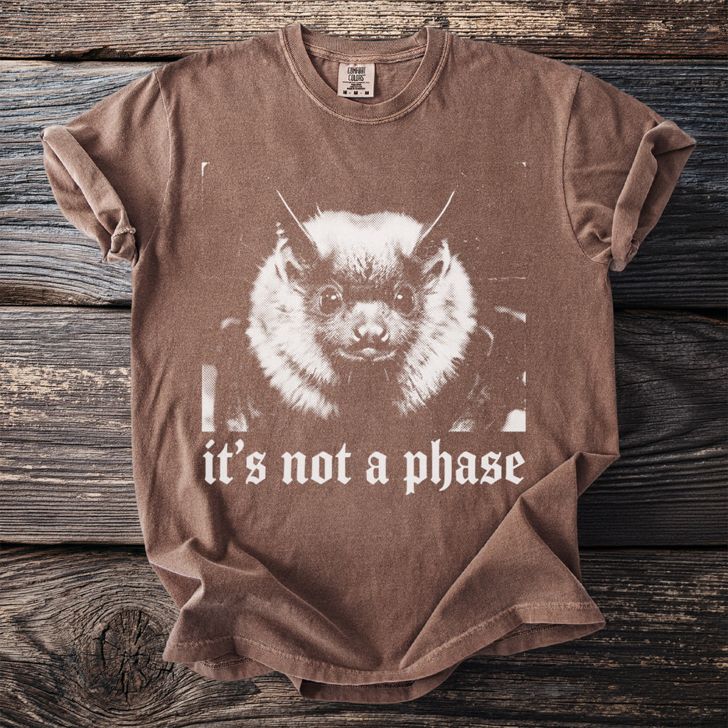 Brown t-shirt with a bat graphic and "it's not a phase" text