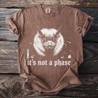 Brown t-shirt with a bat graphic and "it's not a phase" text