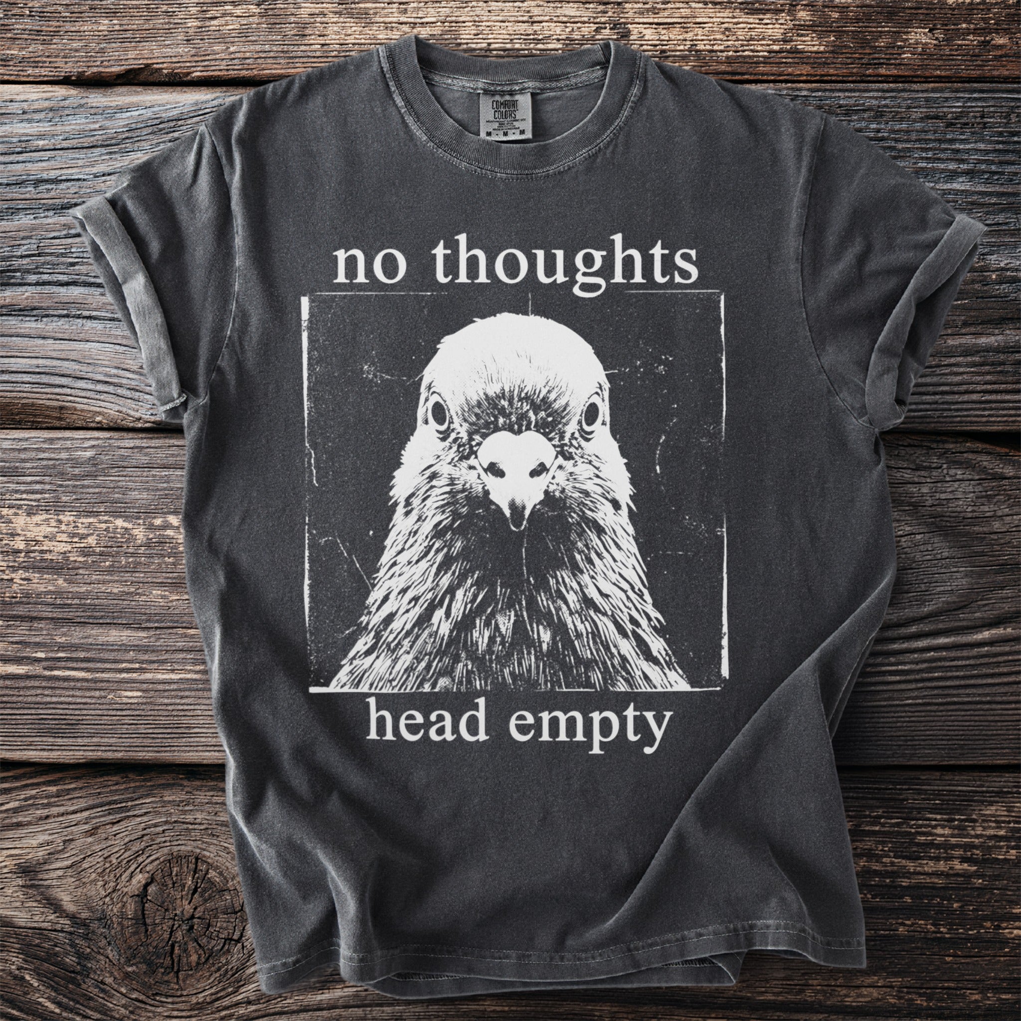 Charcoal t-shirt with a pigeon graphic and "no thoughts head empty" text.