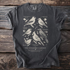 T-shirt graphic with six illustrated American songbirds and their names.