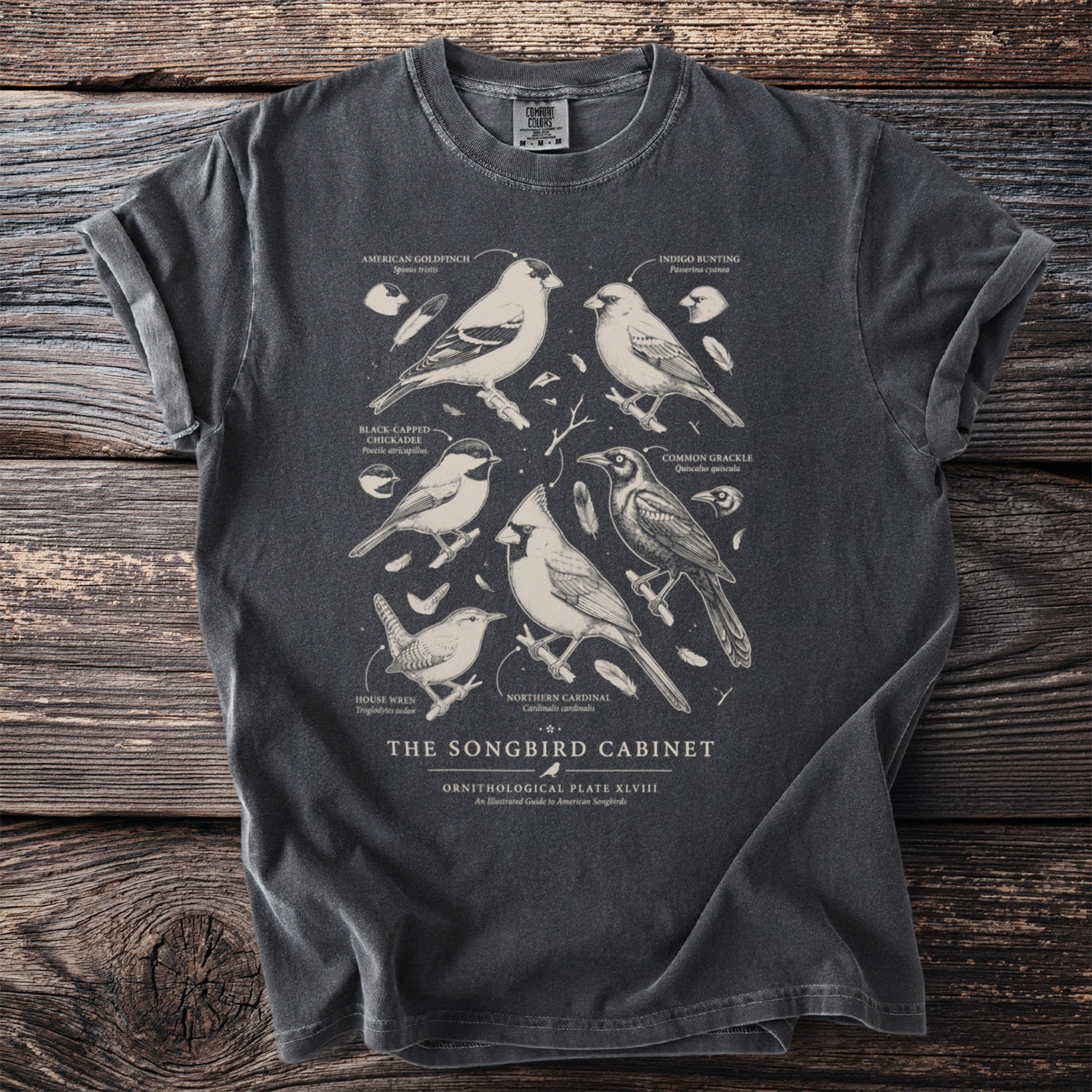 T-shirt graphic with six illustrated American songbirds and their names.