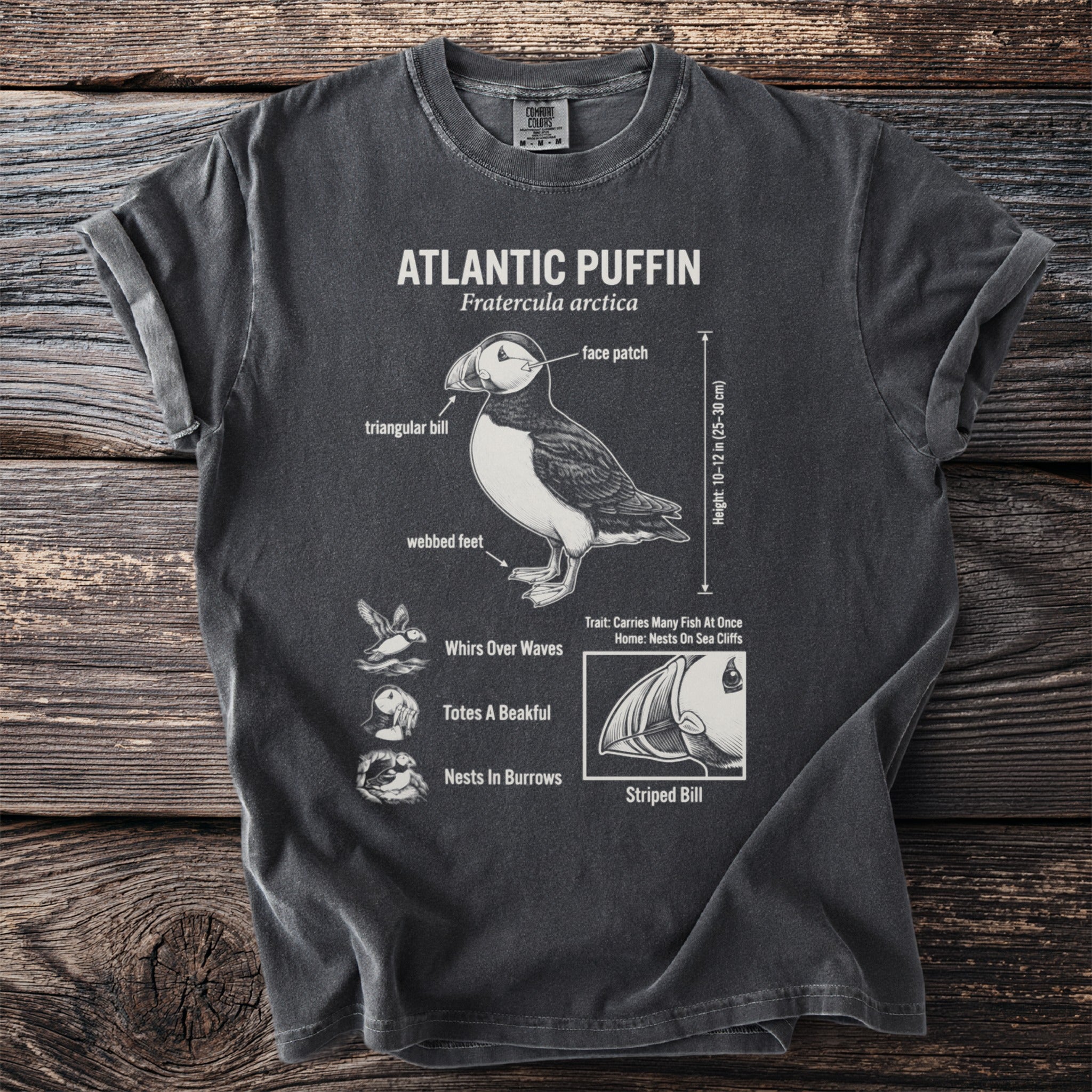 T-shirt with Atlantic Puffin illustration details: bill, face patch, height, and behaviors.