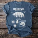 Tardigrade diagram and traits: moss dweller, heat proof, freeze proof, tunable state.