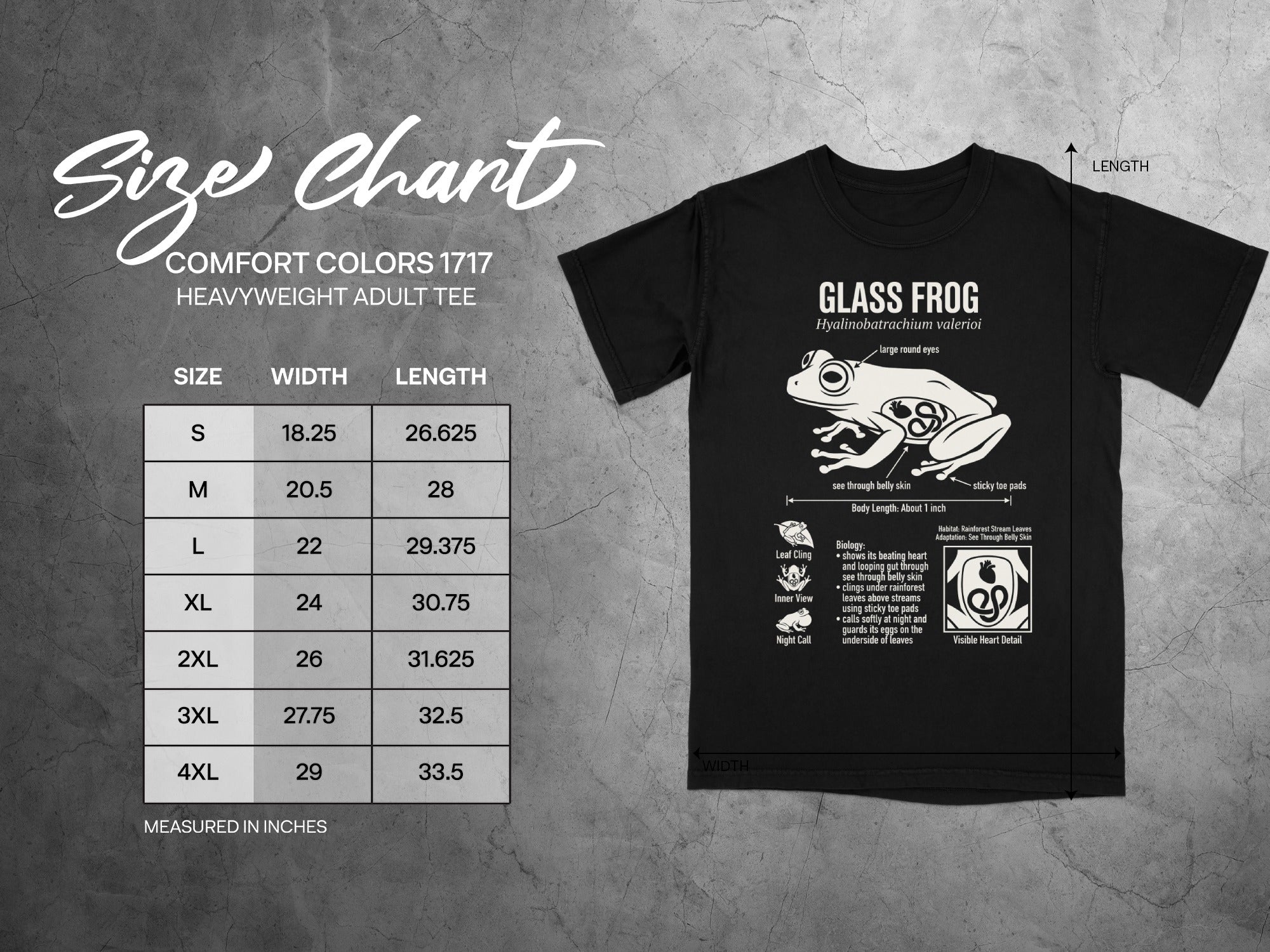 Comfort Colors 1717 heavyweight adult tee size chart with glass frog graphic.