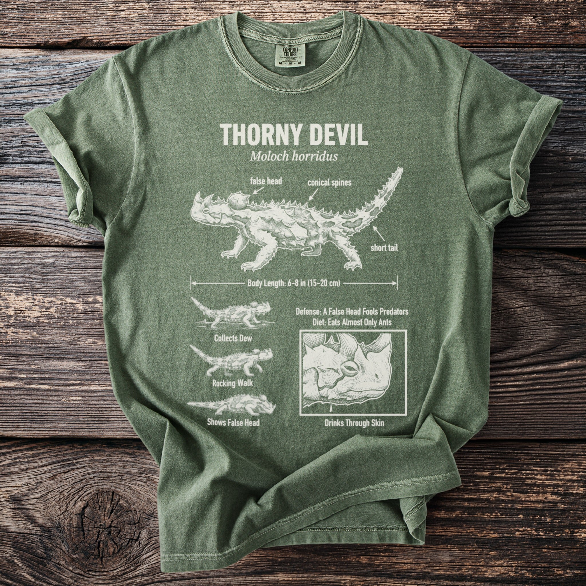 Green t-shirt graphic with Thorny Devil anatomy: head, spines, body length, and behaviors.