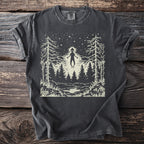 The Visitor: Light Above the Firs