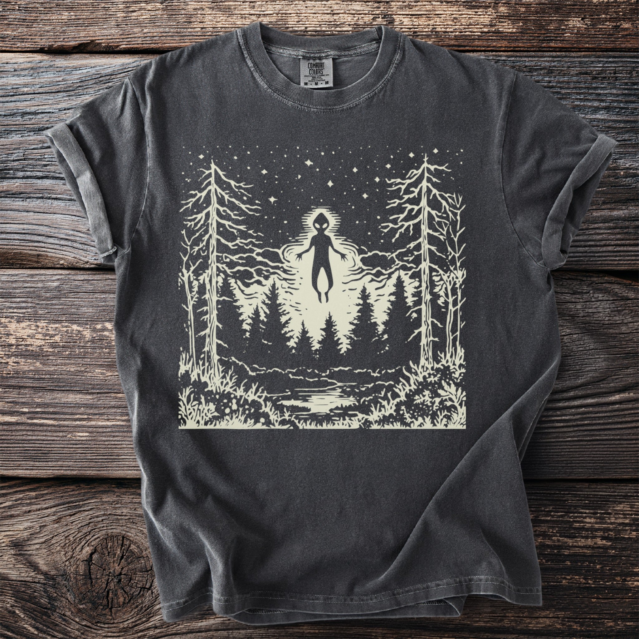 The Visitor: Light Above the Firs