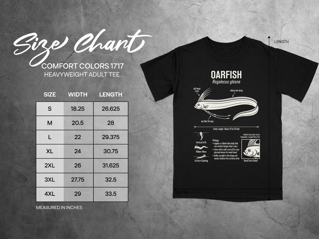 Comfort Colors 1717 heavyweight tee size chart with oarfish illustration and details.