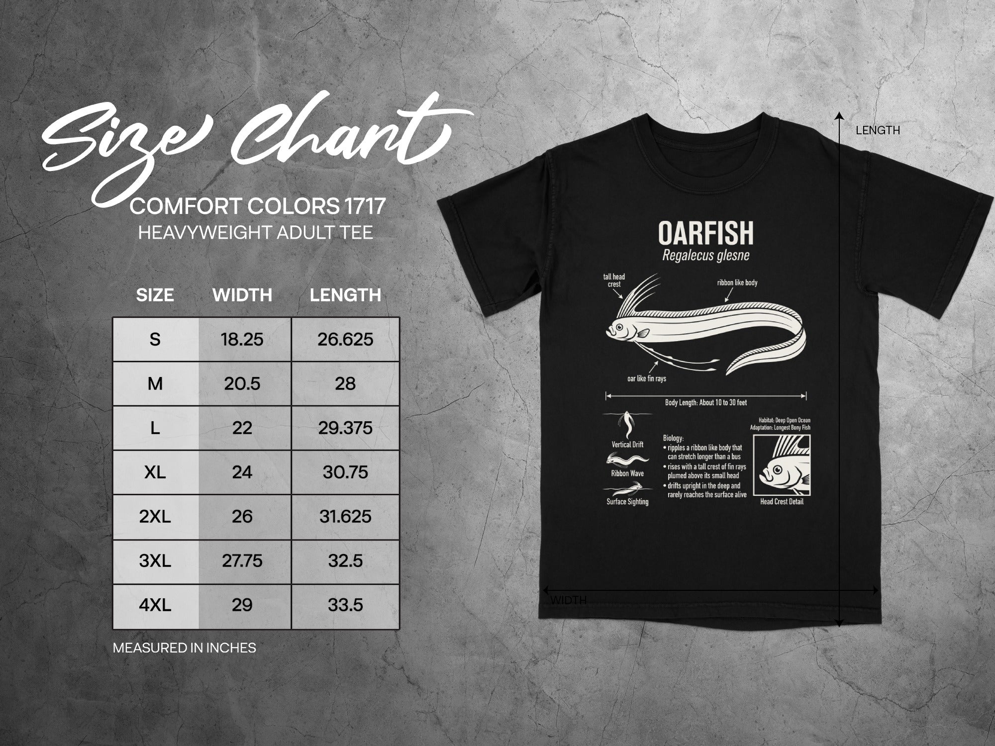 Comfort Colors 1717 heavyweight tee size chart with oarfish illustration and details.