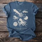 Blue t-shirt with illustrations of cephalopods and ammonite, labeled "The Cephalopod Cabinet".