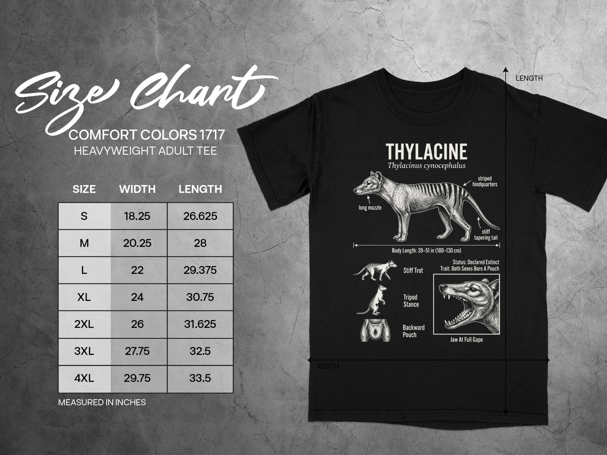 Comfort Colors 1717 heavyweight adult tee size chart with Thylacine illustration.