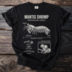 Black t-shirt with Mantis Shrimp illustration and scientific details.