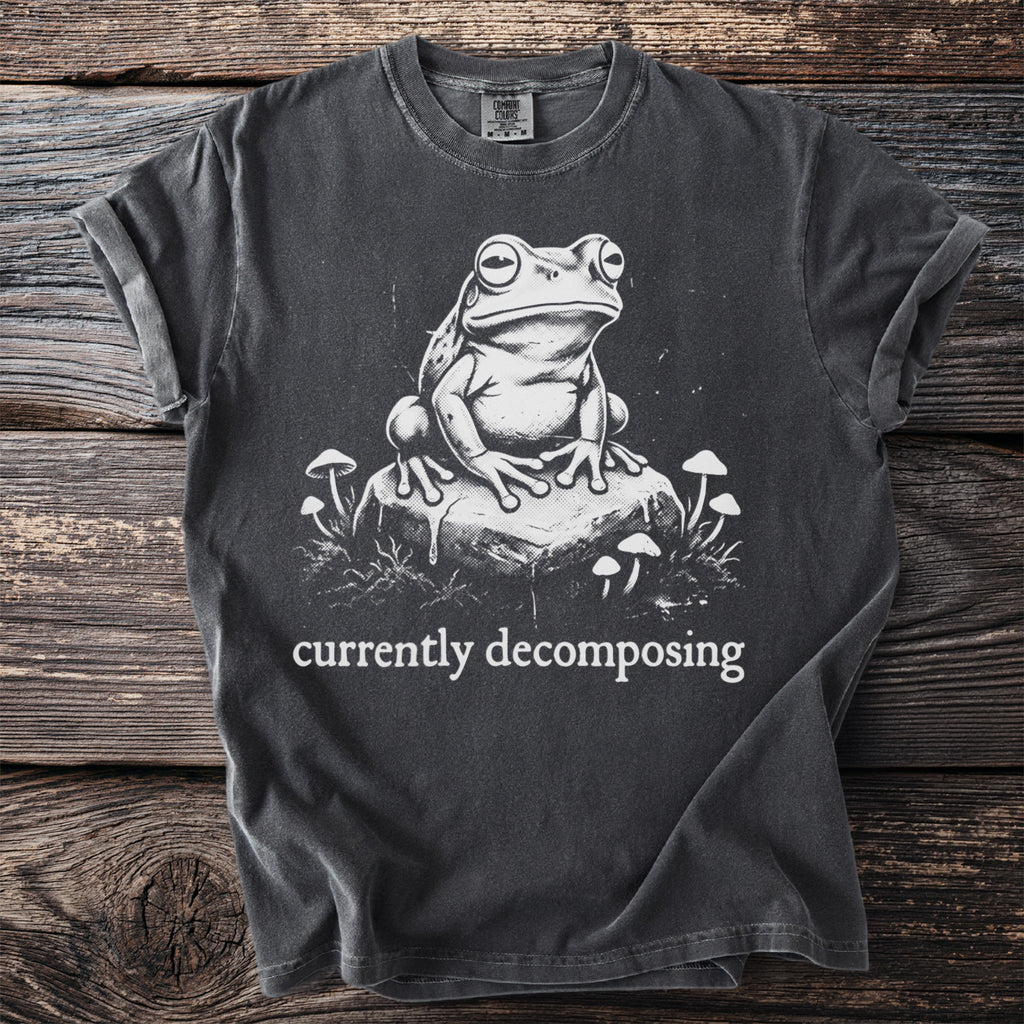 Dark grey t-shirt with a graphic of a frog on a rock with mushrooms and text.