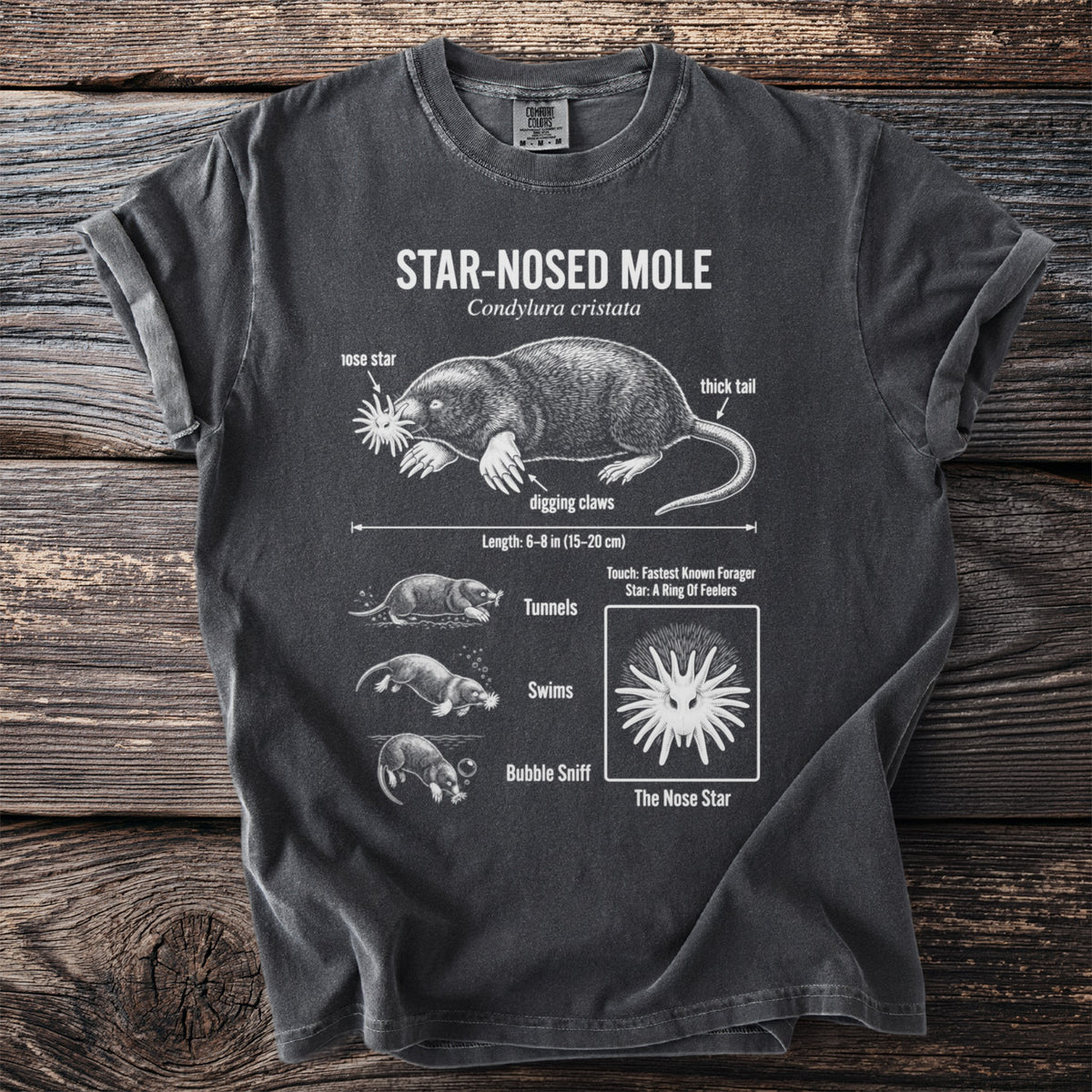 Star-Nosed Mole diagram with features labeled: nose star, digging claws, thick tail.