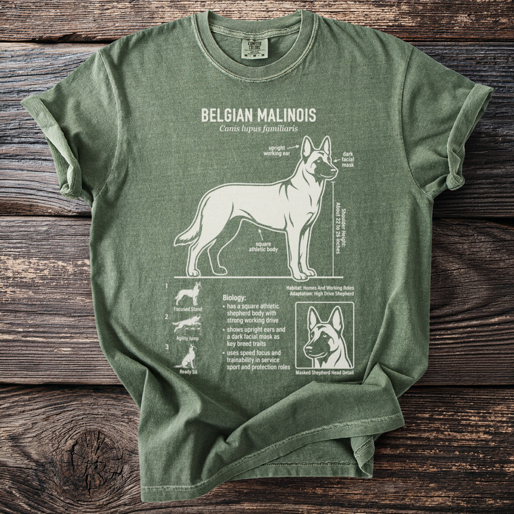 Green t-shirt with scientific illustration of a Belgian Malinois and its traits.