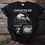 Black t-shirt with scientific illustration of a leafcutter ant and its activities.