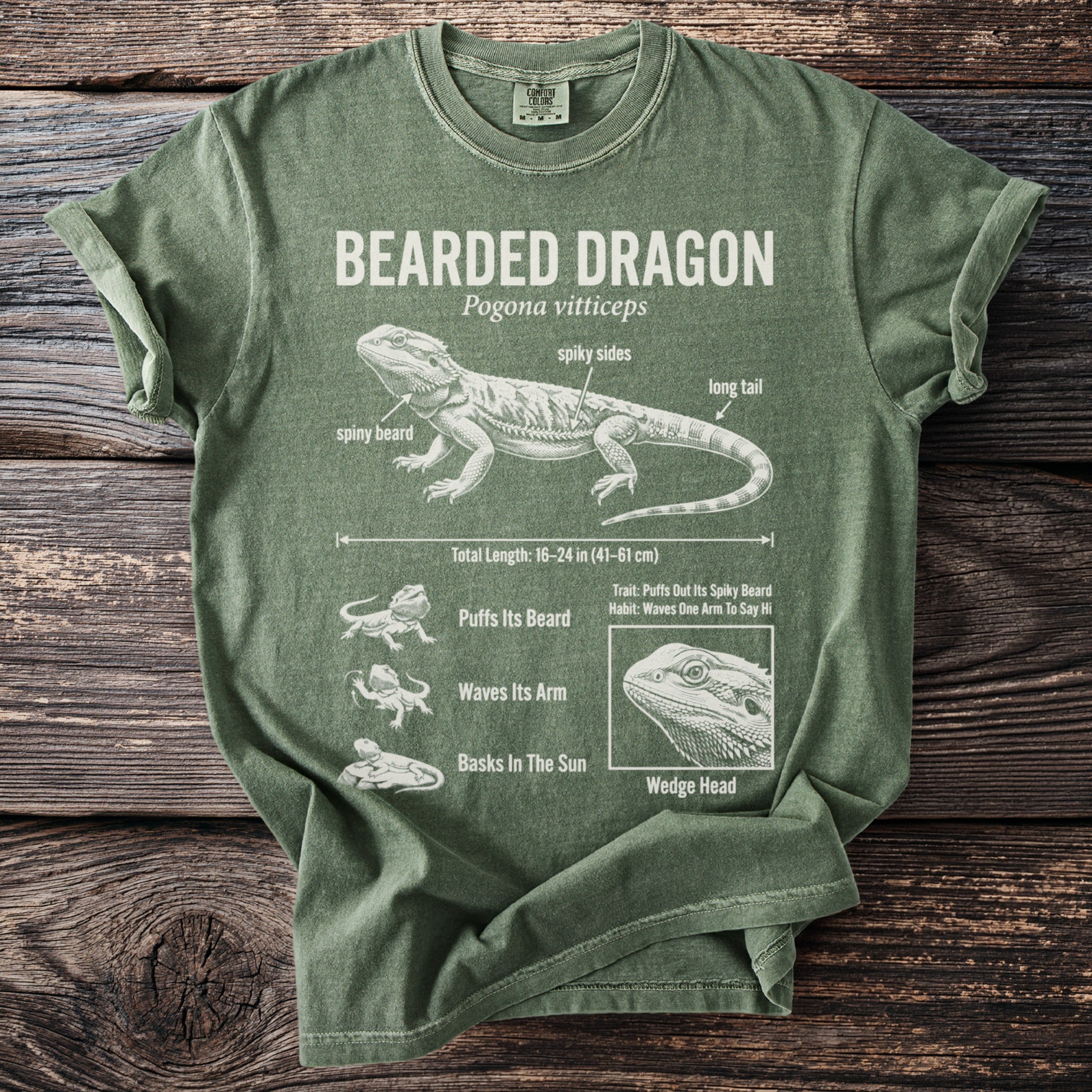 Green t-shirt with a white diagram of a bearded dragon and its features.