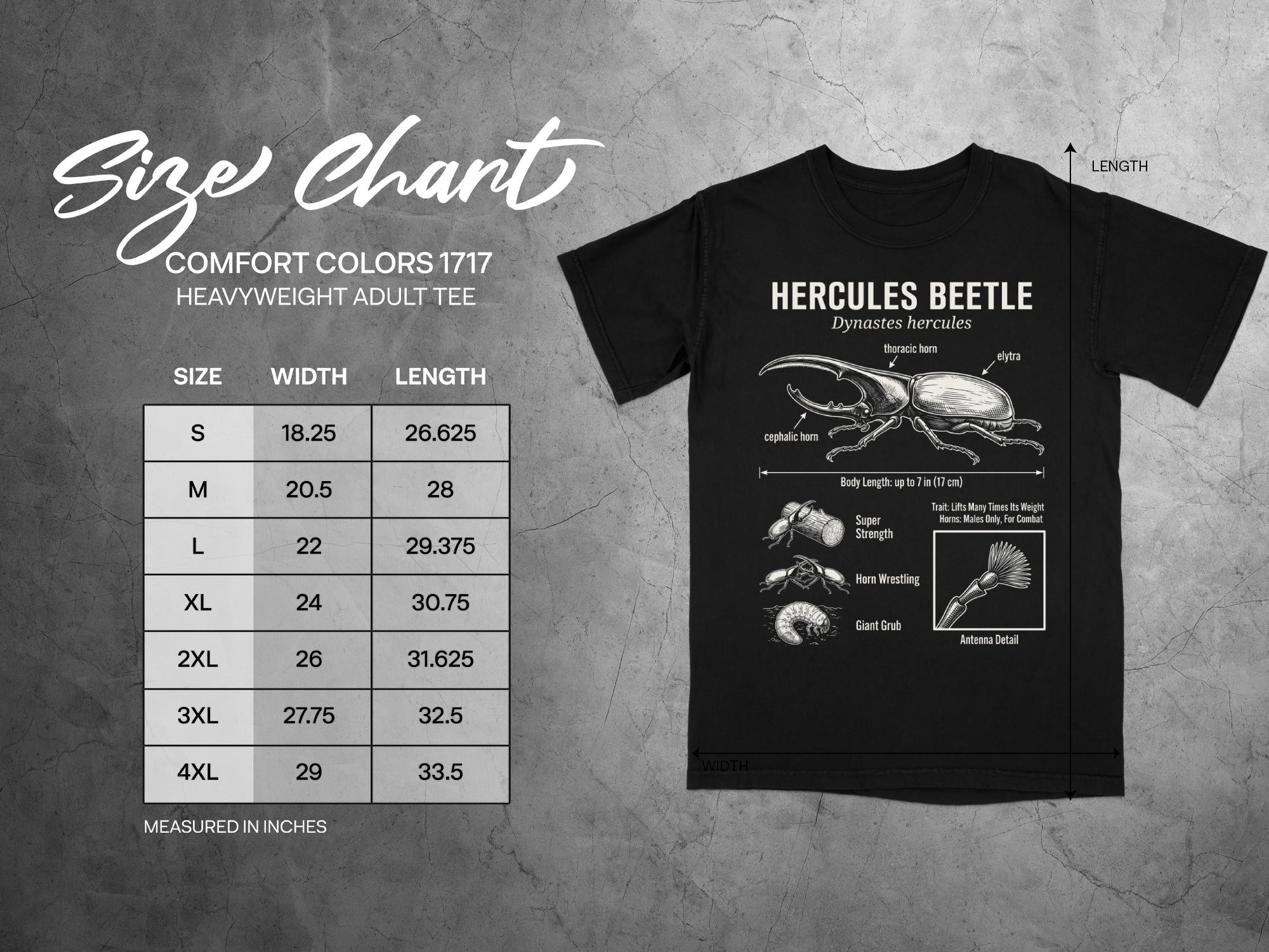 Comfort Colors 1717 garment size chart in inches.