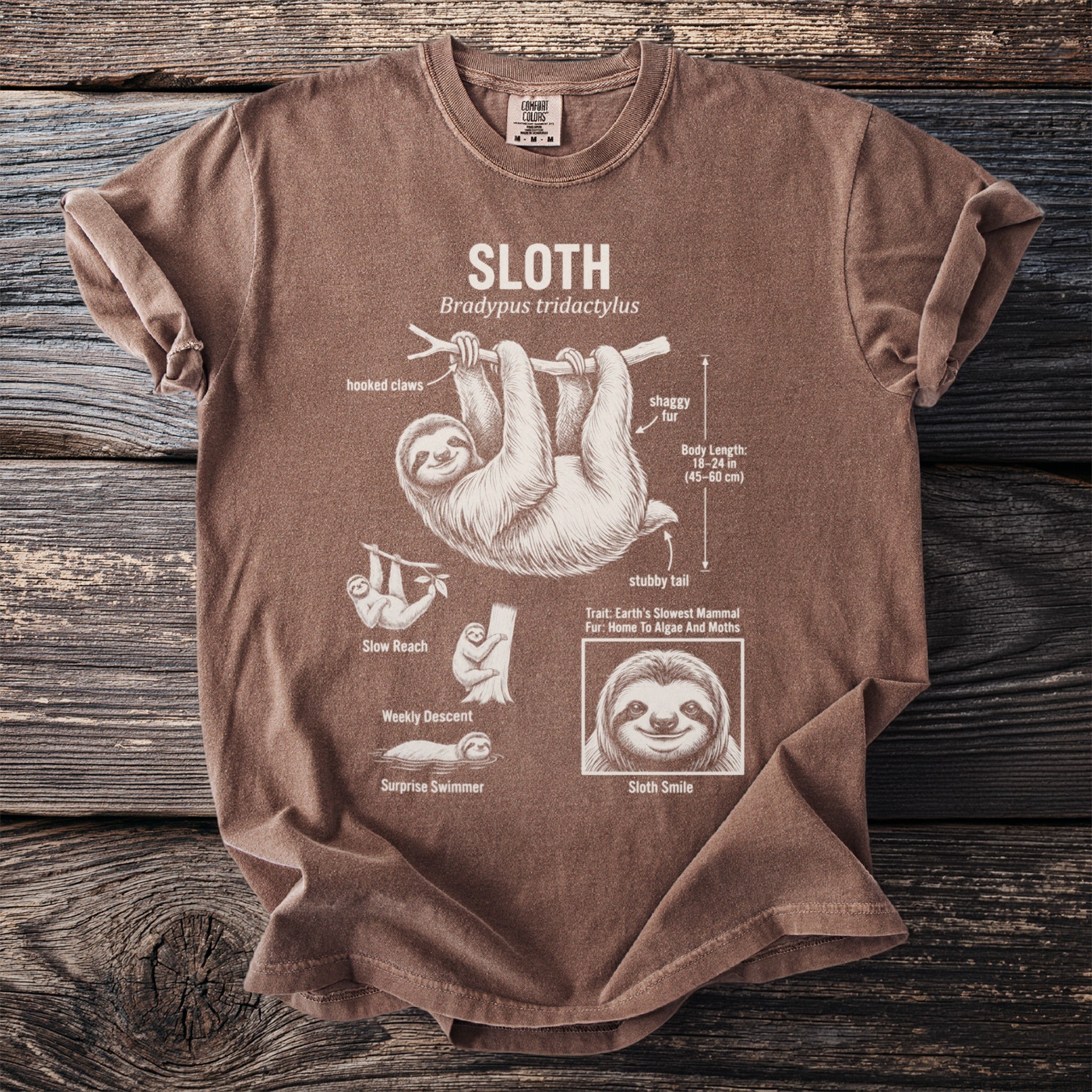 Brown t-shirt with diagram of sloth features, including hooked claws and shaggy fur.