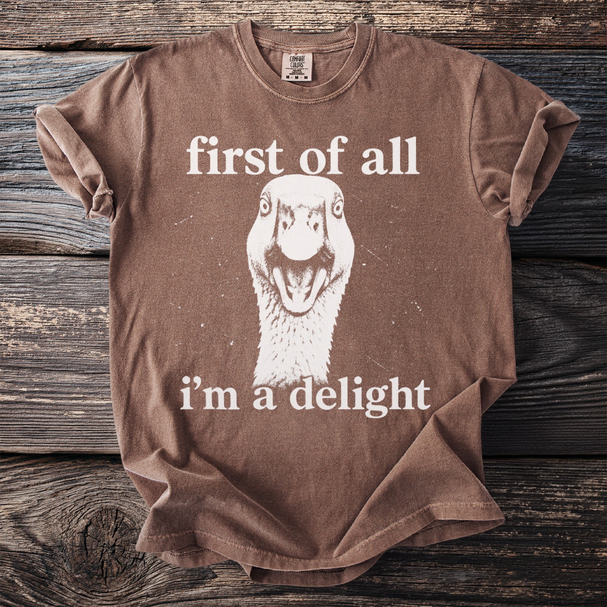 Brown t-shirt with a graphic of a goose and text "first of all i'm a delight".