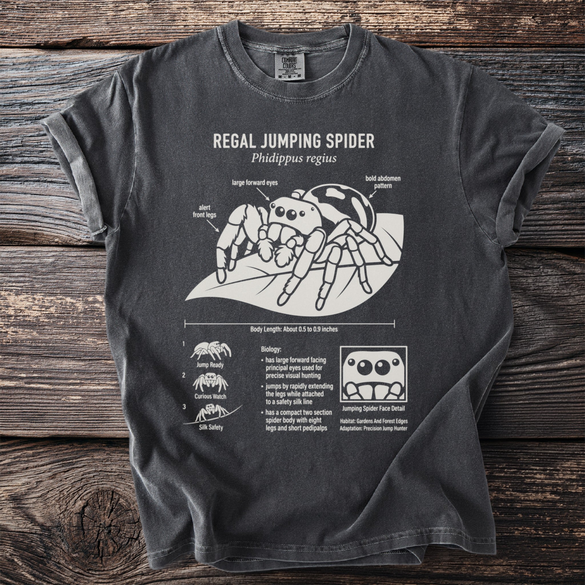 Regal Jumping Spider Phidippus regius diagram on a charcoal t-shirt.